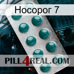 Носорог 7 dapoxetine1